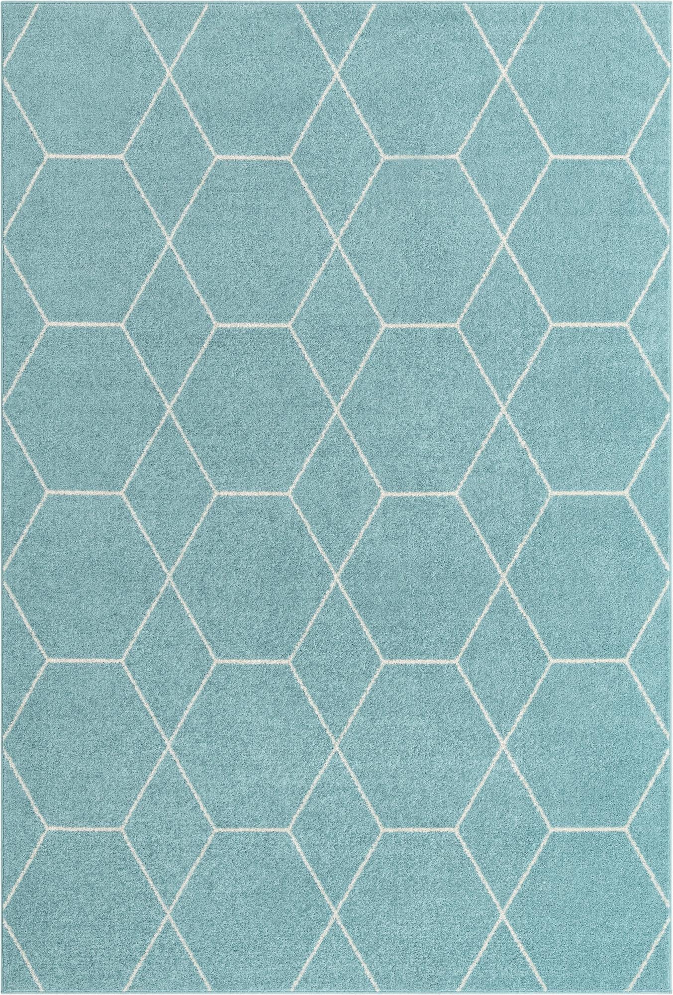 6' x 9' Trellis Frieze Rug