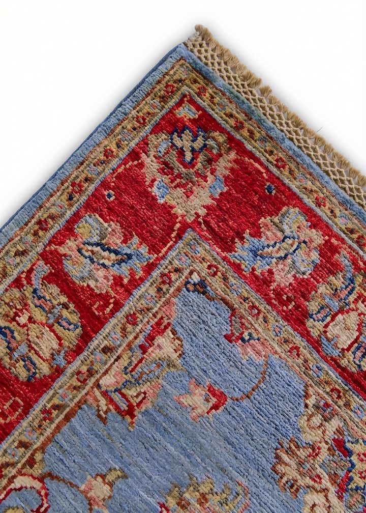 2' 9 x 10' 2 Hand Knotted Ariana Ziegler Runner Rug