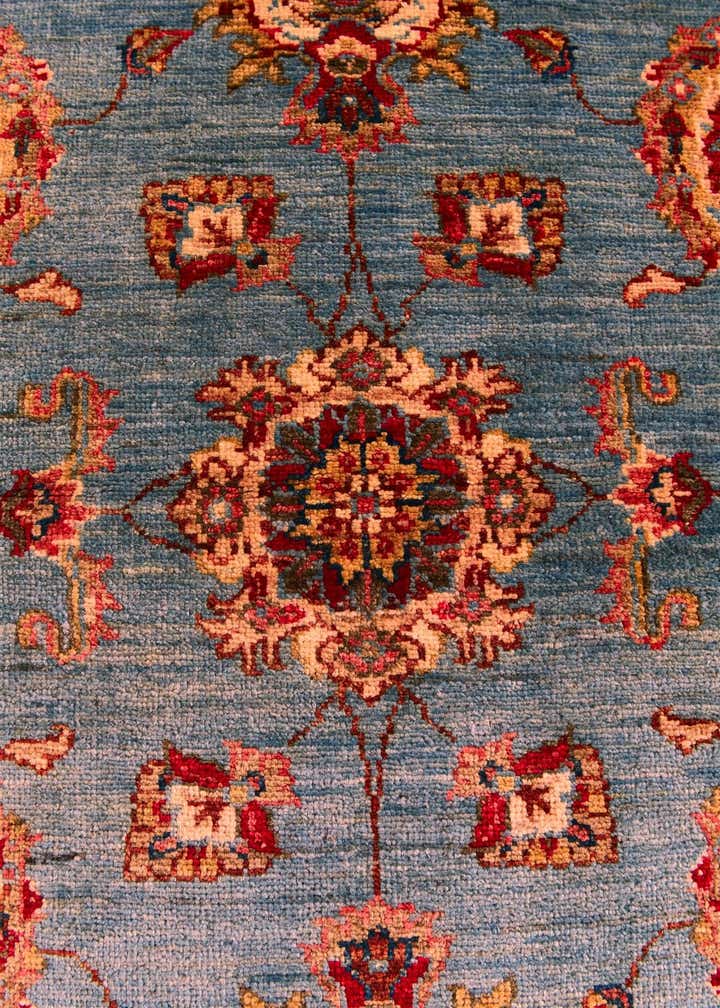 2' 9 x 10' 2 Hand Knotted Ariana Ziegler Runner Rug