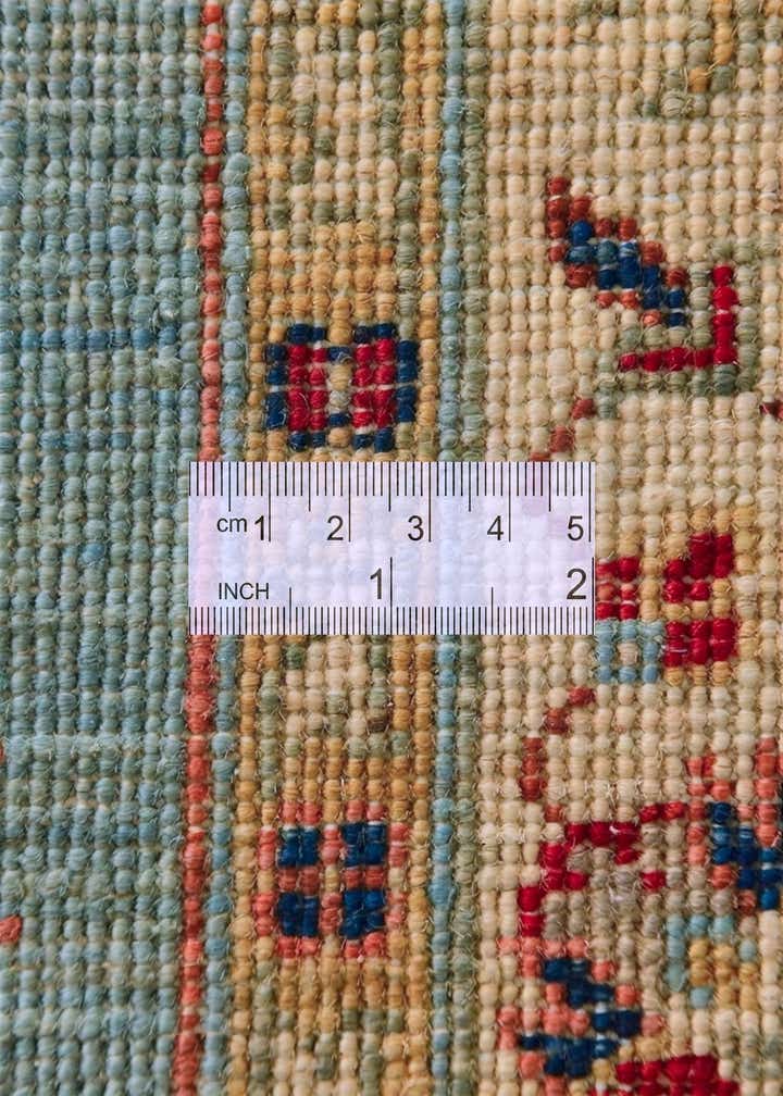 2' 9 x 8' 7 Hand Knotted Ariana Ziegler Runner Rug