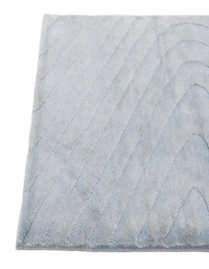 Detail image of 2' 7 x 9' 10  Hand Knotted Darya Wool Runner Rug