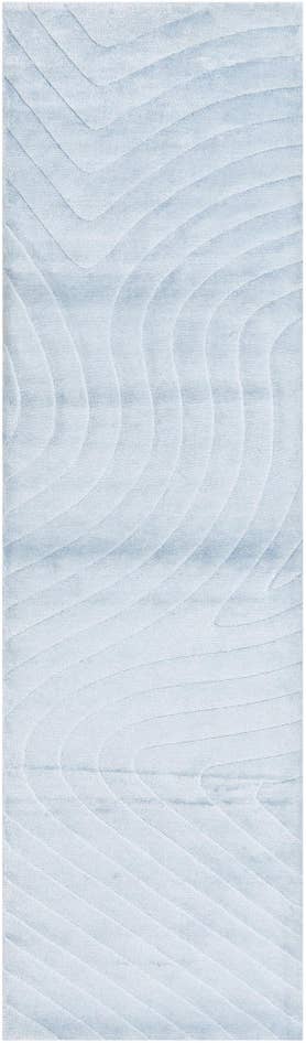 Detail image of 2' 9 x 9' 10 Darya Runner Rug