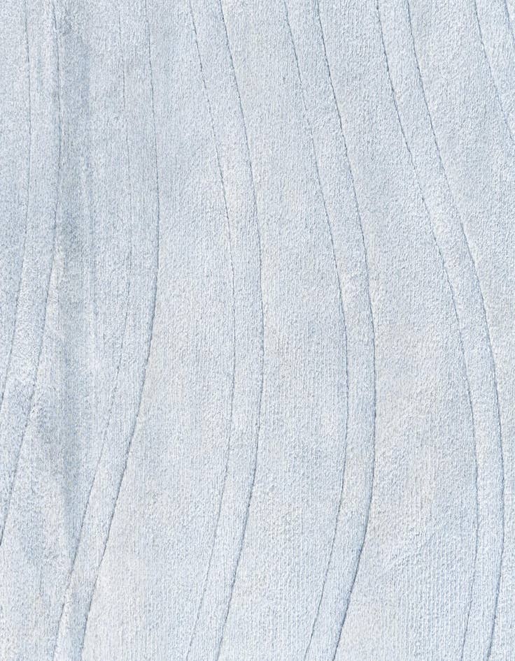 Detail image of 2' 8 x 9' 9 Darya Runner Rug