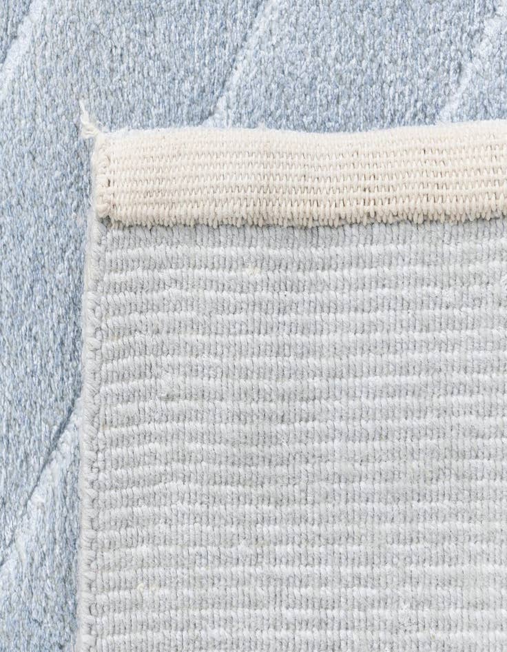 Detail image of 2' 9 x 13' Darya Runner Rug