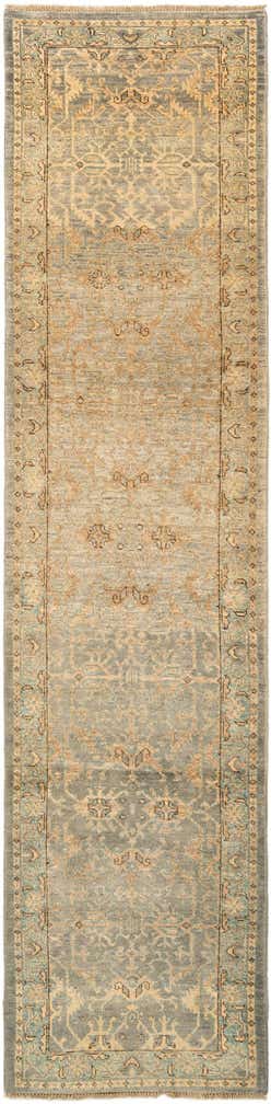 2' 5 x 10' 7 Ghazni Diyar Runner Rug