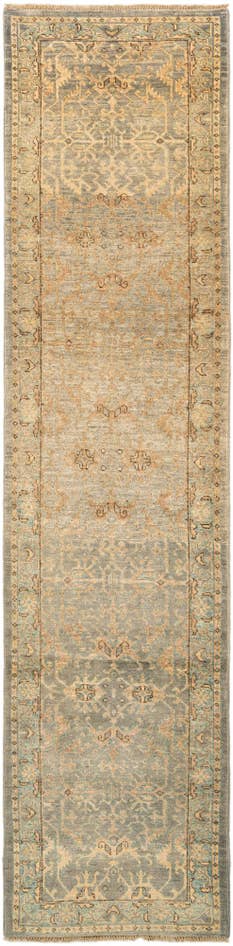 Detail image of 2' 5 x 10' 7 Ghazni Diyar Runner Rug
