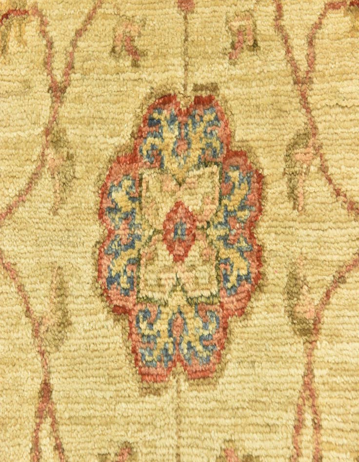 Detail image of 3' 10 x 17' 6  Hand Knotted Peshawar Ziegler Runner Rug