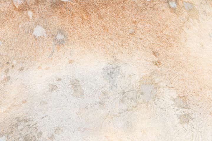 5' 11 x 6' 7 Cowhide Leather Square Rug
