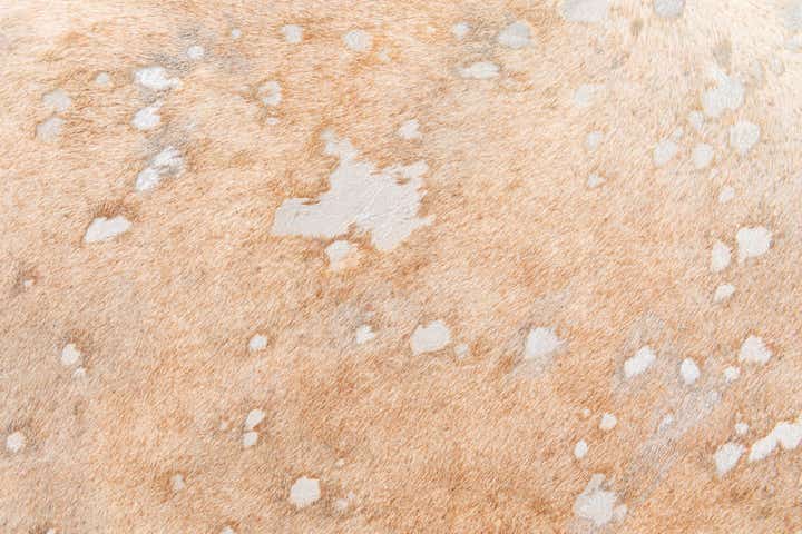 5' 11 x 6' 7 Cowhide Leather Square Rug