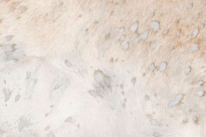 6' 3 x 7' 3 Cowhide Leather Square Rug