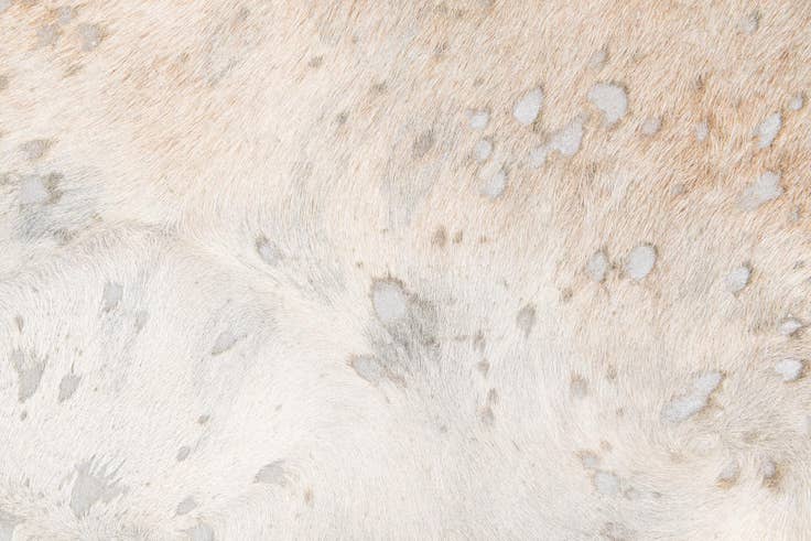 Detail image of 6' 3 x 7' 3 Cowhide Leather Square Rug