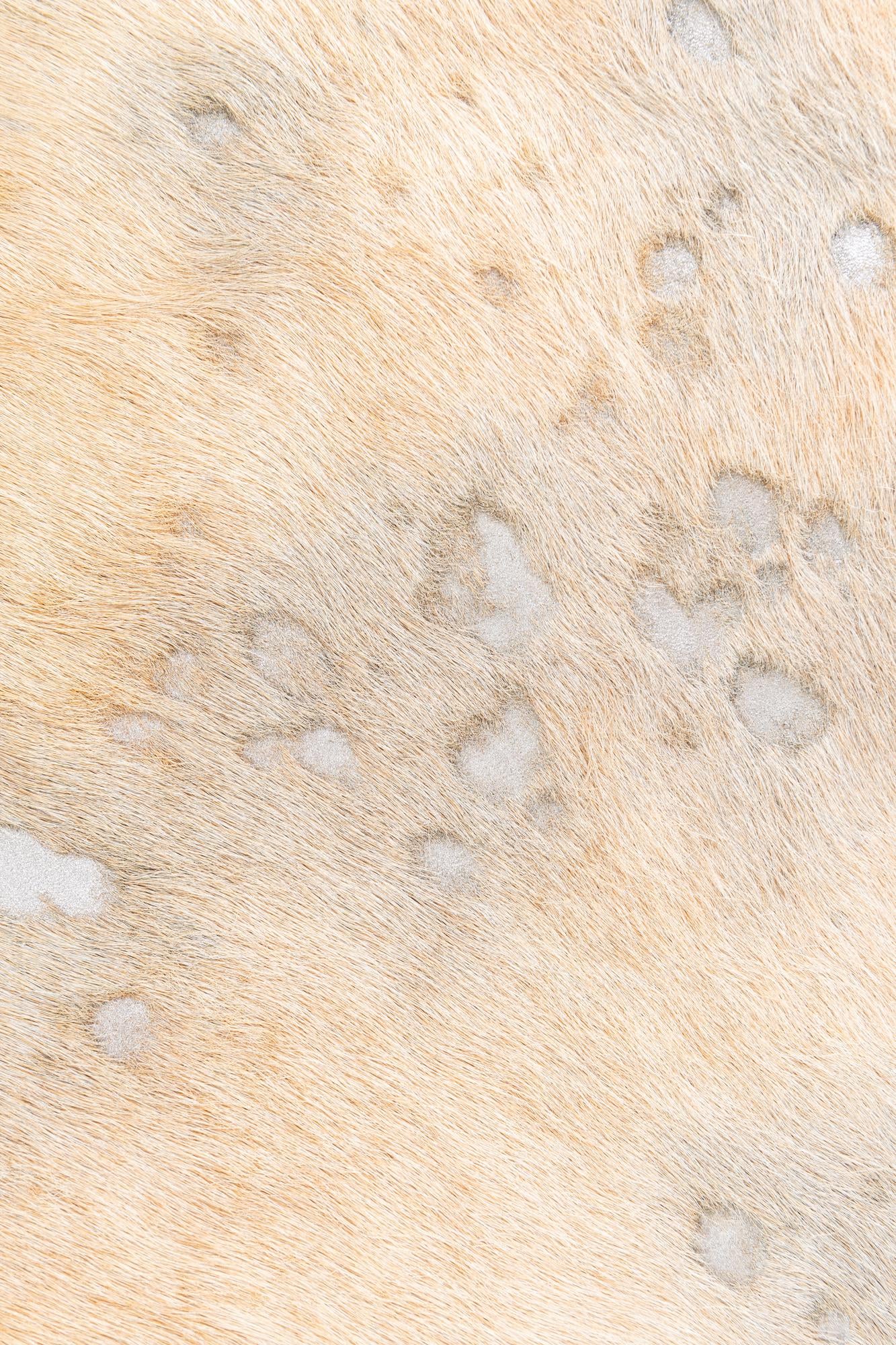 7' 1 x 7' 9 Cowhide Leather Square Rug