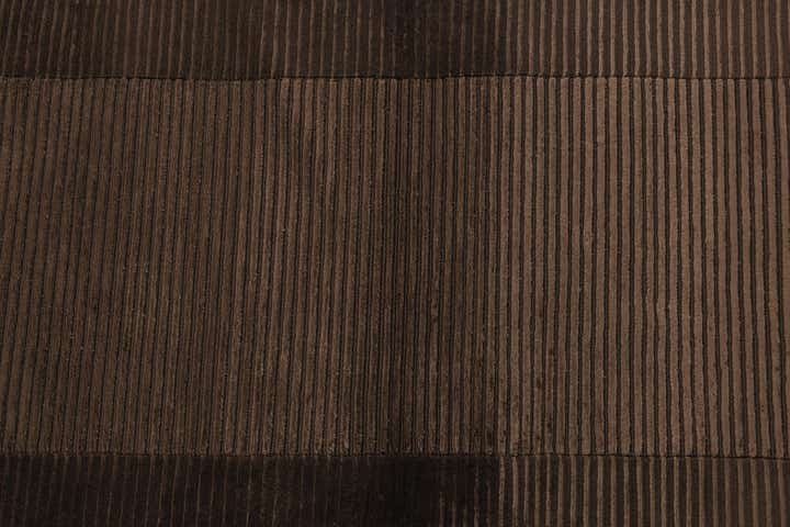 2' 7 x 9' 9 Hand Knotted Darya Wool Runner Rug