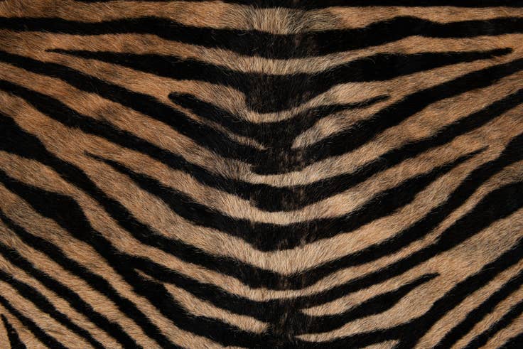 Detail image of 6' x 7' 2 Cowhide Leather Freeform Rug