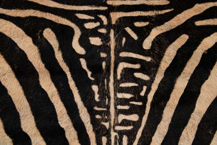 6' x 7' 2 Cowhide Leather Freeform Rug