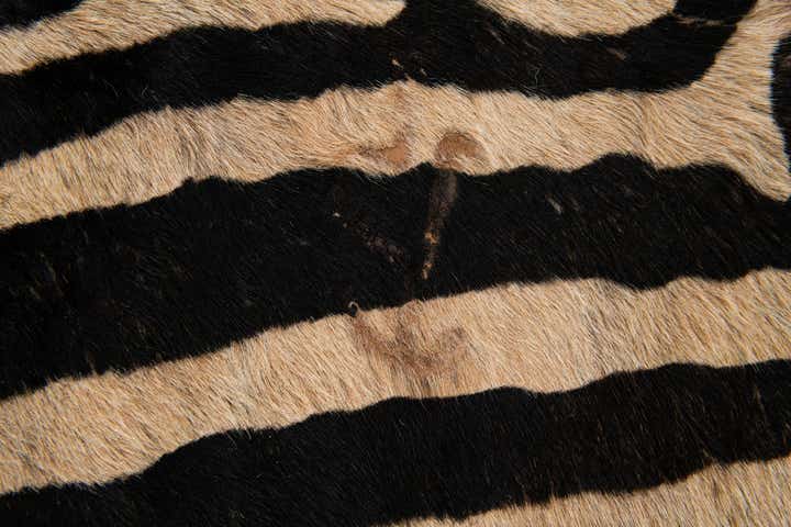 6' x 7' 2 Cowhide Leather Freeform Rug