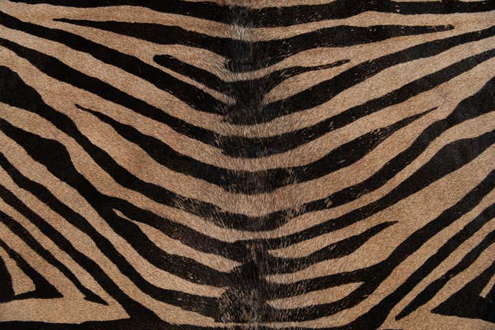 200cm x 205cm Cowhide Leather Alfombra Freeform
