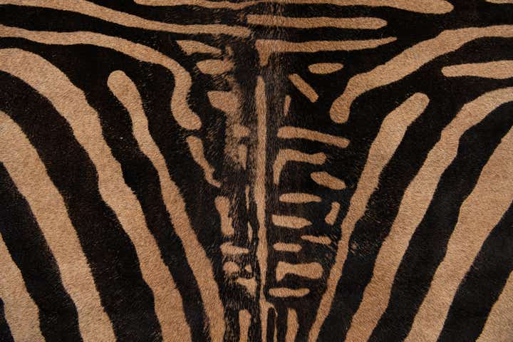 200cm x 205cm Cowhide Leather Alfombra Freeform