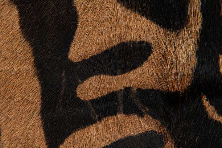 200cm x 205cm Cowhide Leather Alfombra Freeform