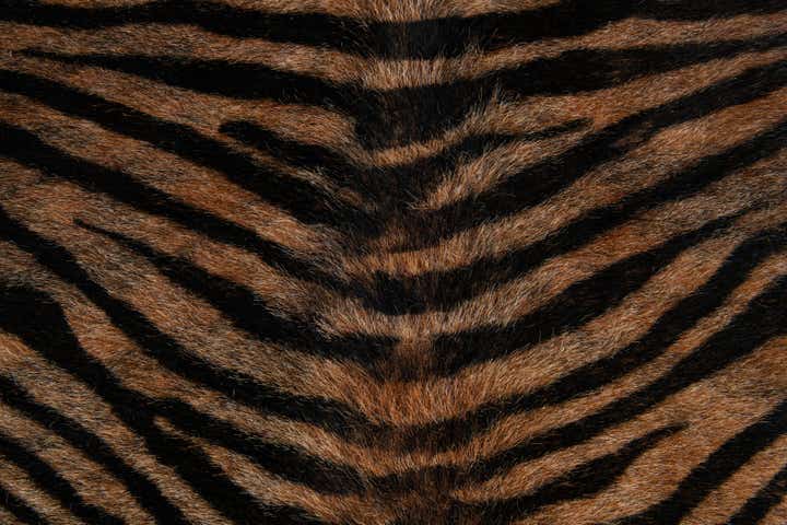 190cm x 205cm Cowhide Leather Freeform Rug