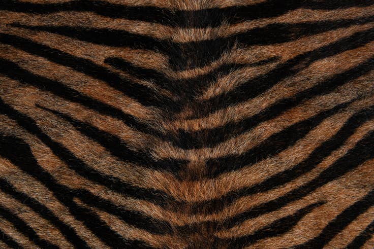 Detail image of 190cm x 205cm Cowhide Leather Freeform Rug