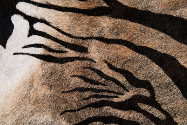 190cm x 205cm Cowhide Leather Freeform Rug
