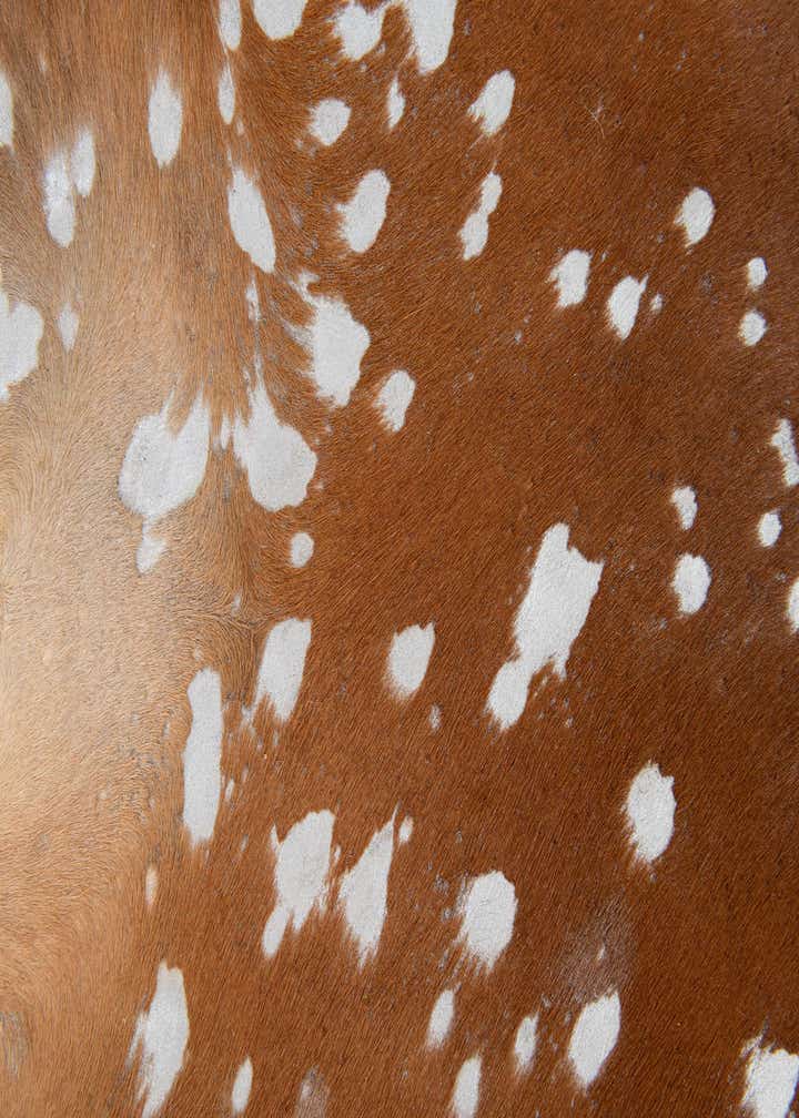 6' 1 x 6' 5 Cowhide Leather Freeform Rug