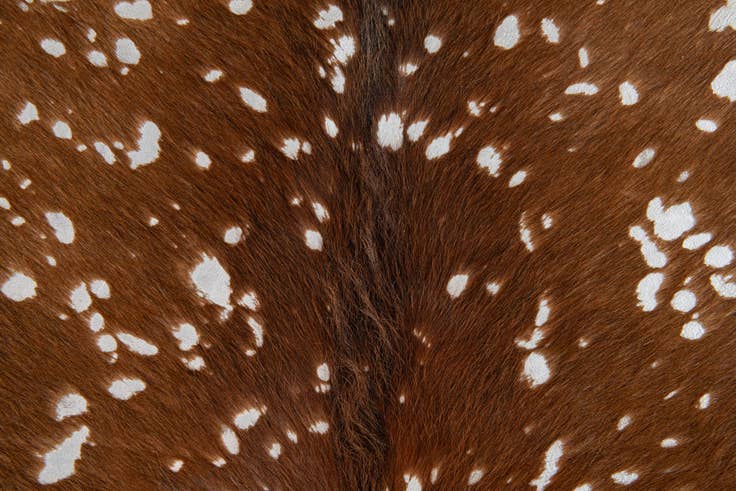 Detail image of 5' 9 x 6' 10 Cowhide Leather Freeform Rug