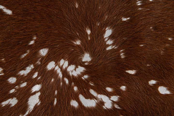 5' 9 x 6' 10 Cowhide Leather Freeform Rug
