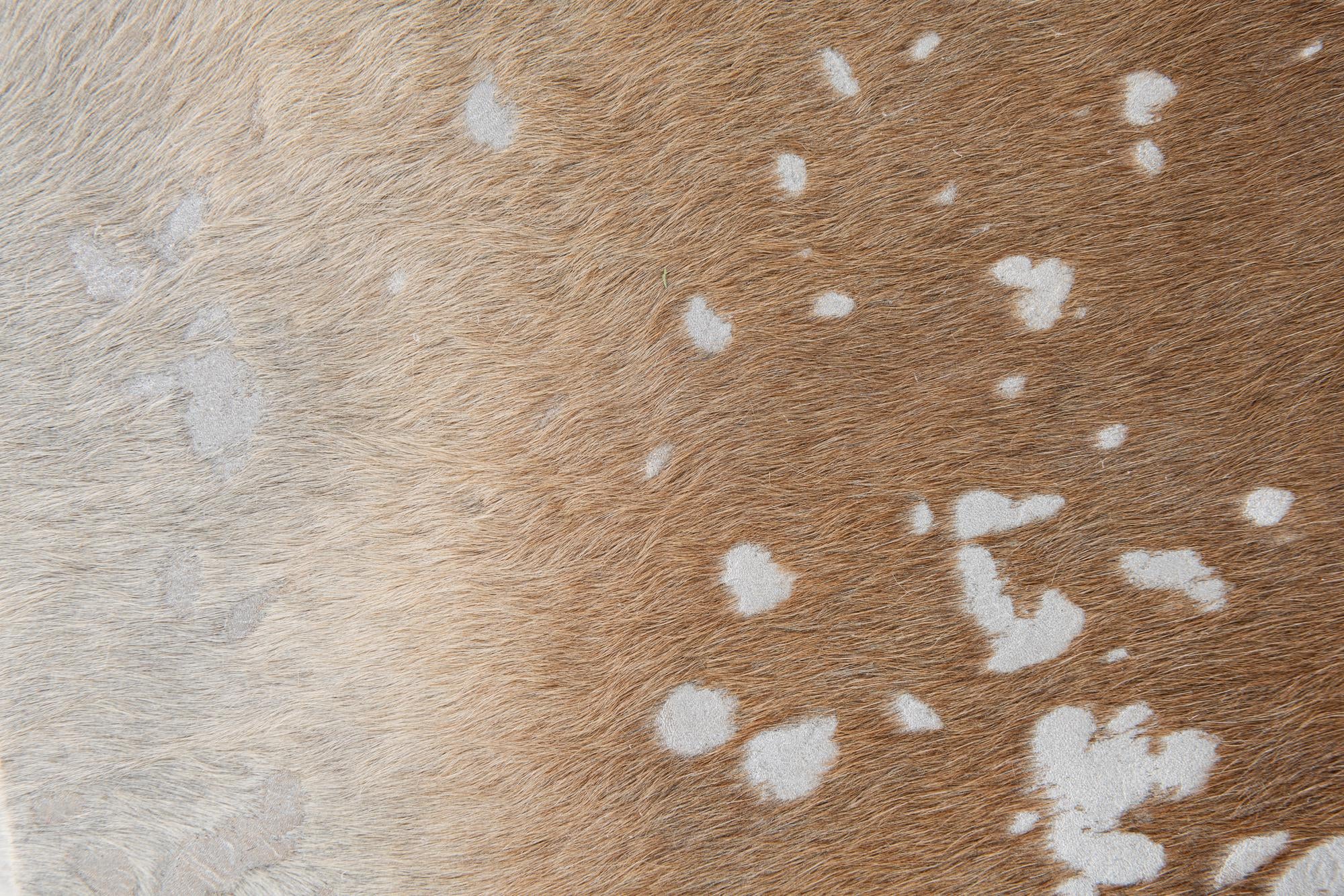 5' 9 x 6' 10 Cowhide Leather Freeform Rug