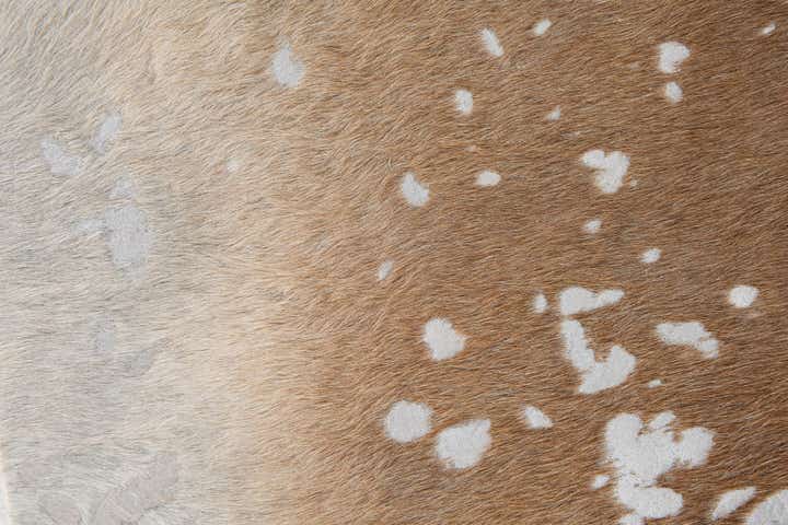 5' 9 x 6' 10 Cowhide Leather Freeform Rug