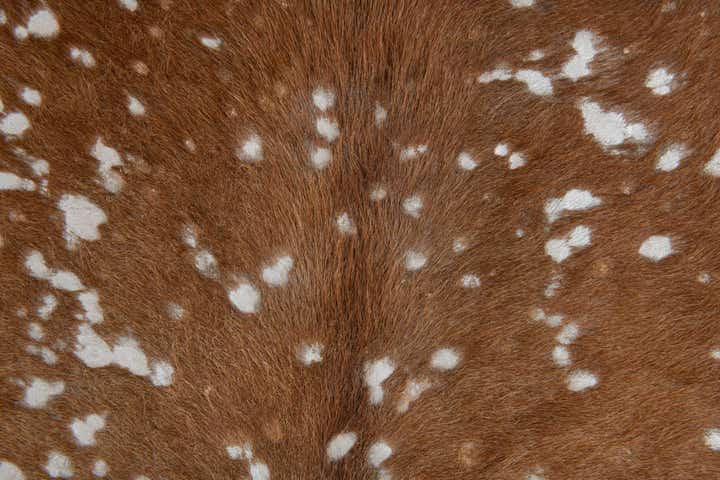 7' x 7' 3 Cowhide Leather Freeform Rug