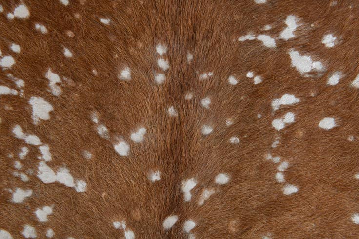 Detail image of 7' x 7' 3 Cowhide Leather Freeform Rug