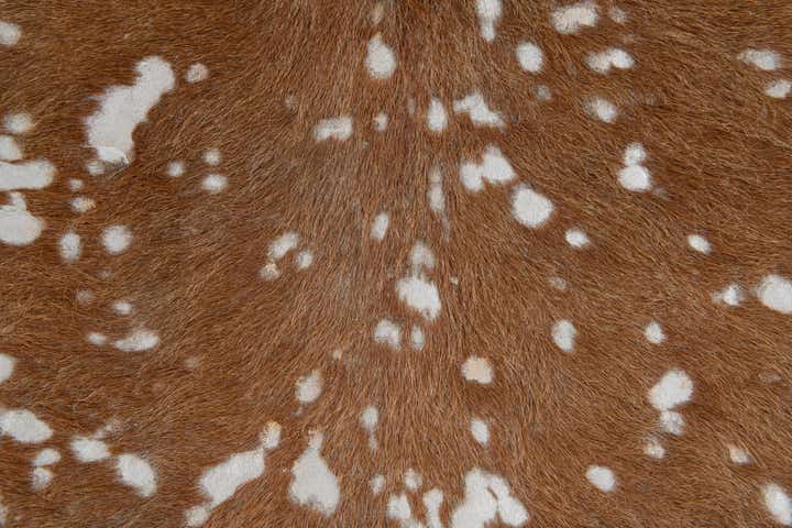 7' x 7' 3 Cowhide Leather Freeform Rug