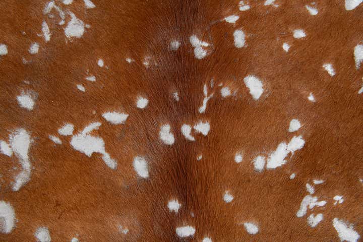 7' x 7' Cowhide Leather Freeform Rug