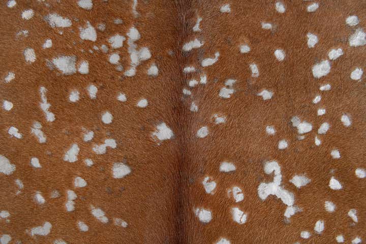 6' 5 x 6' 5 Cowhide Leather Freeform Rug