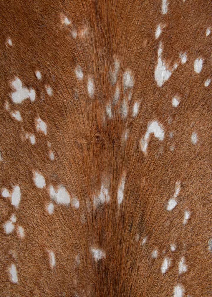 6' x 6' 6 Cowhide Leather Freeform Rug