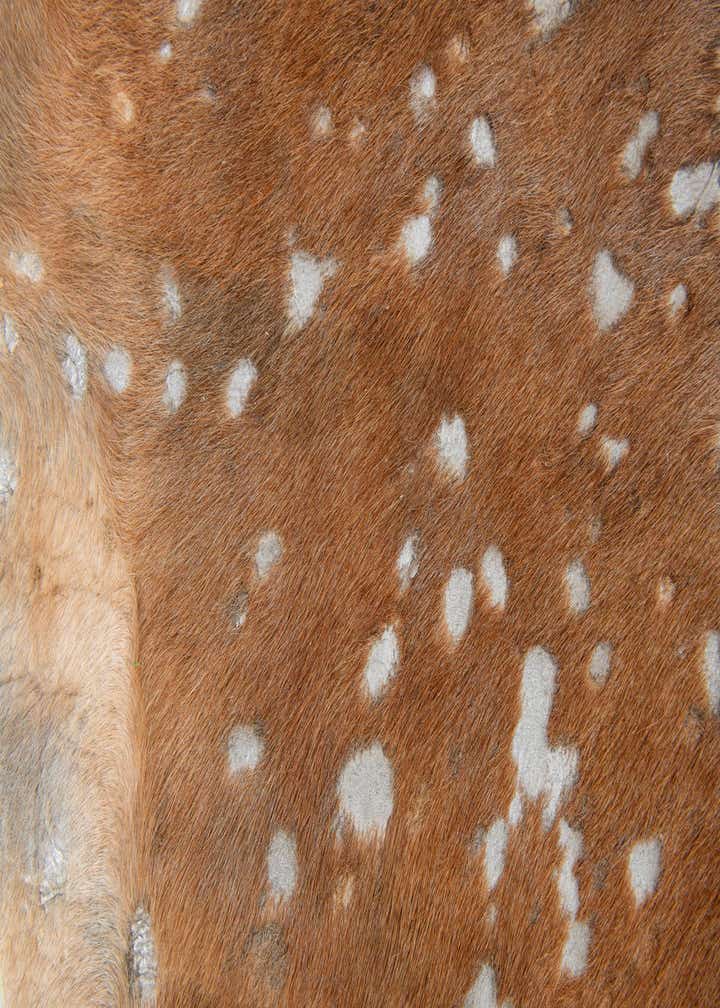 6' x 6' 6 Cowhide Leather Freeform Rug