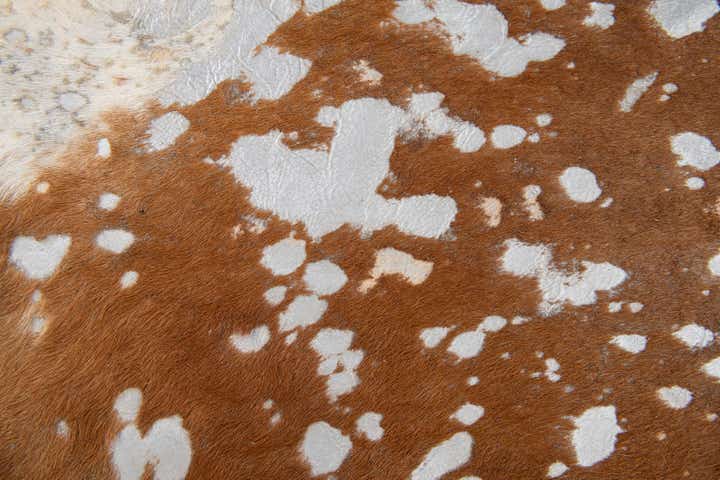 6' 2 x 6' 9 Cowhide Leather Freeform Rug