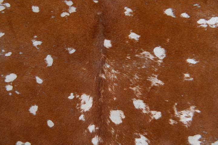 6' 2 x 6' 10 Cowhide Leather Freeform Rug