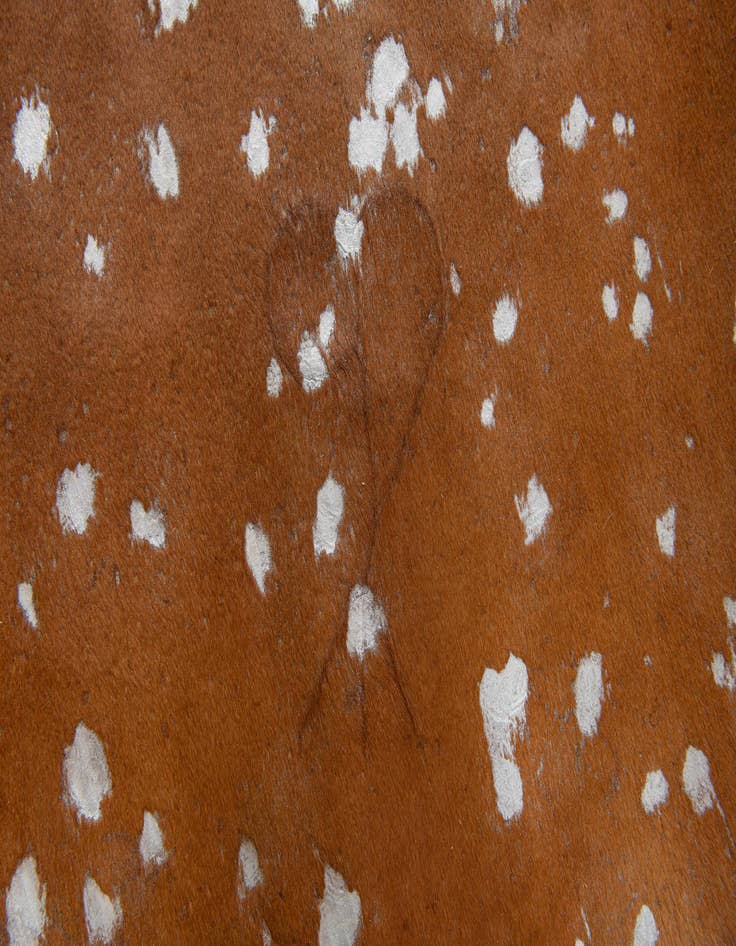 Detail image of 6' 2 x 6' 10 Cowhide Leather Freeform Rug
