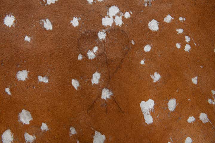 6' 2 x 6' 10 Cowhide Leather Freeform Rug