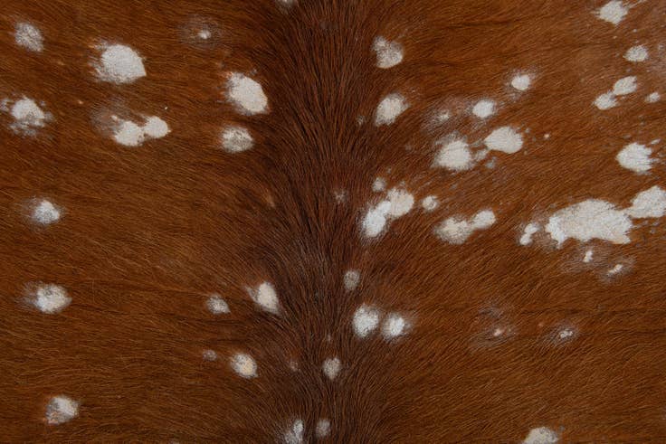 Detail image of 6' 5 x 6' 10 Cowhide Leather Freeform Rug