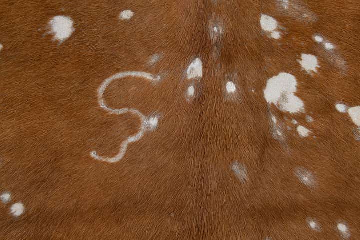 6' 5 x 6' 10 Cowhide Leather Freeform Rug