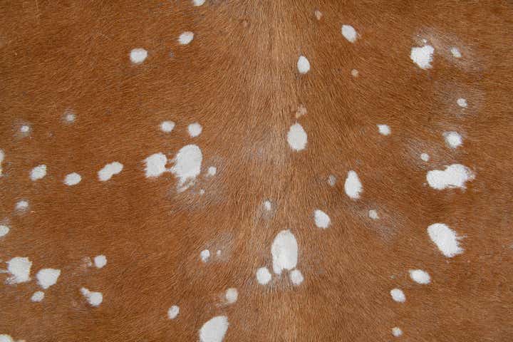 6' 2 x 6' 3 Cowhide Leather Freeform Rug