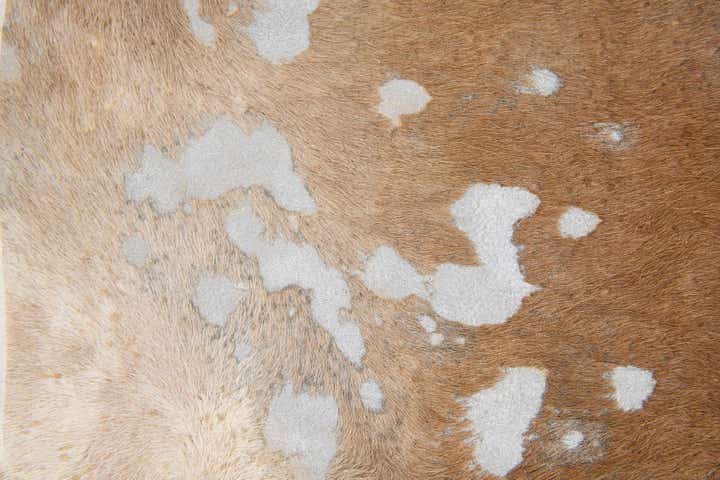 6' 2 x 6' 3 Cowhide Leather Freeform Rug