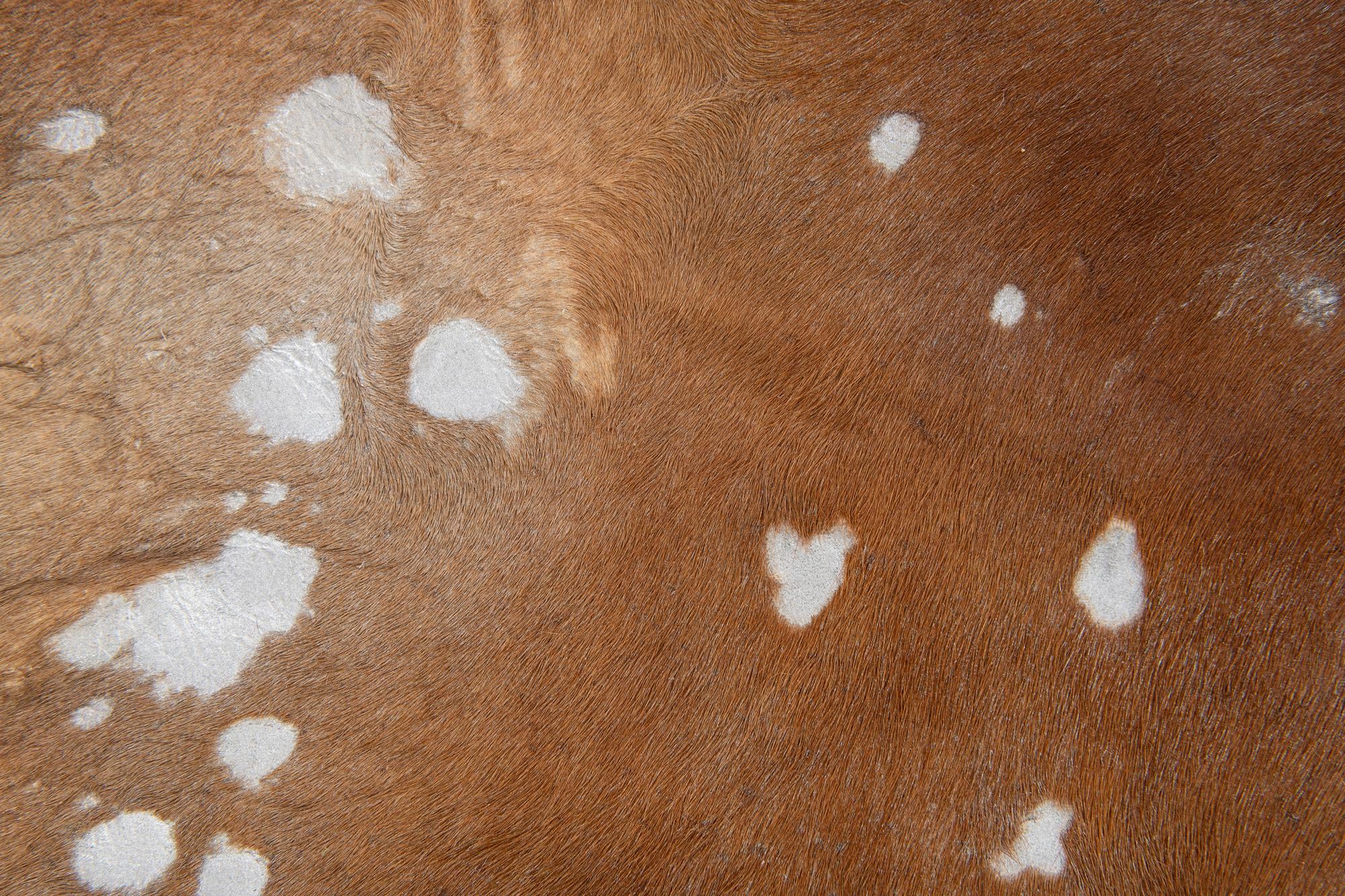 6' 8 x 7' Cowhide Leather Freeform Rug