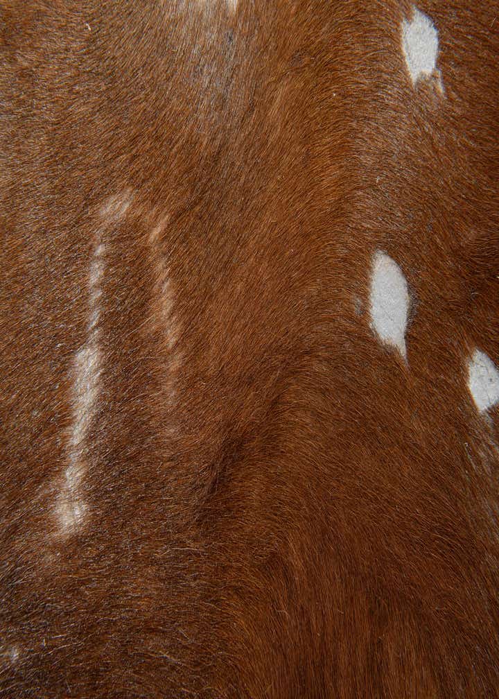 6' 8 x 7' Cowhide Leather Freeform Rug