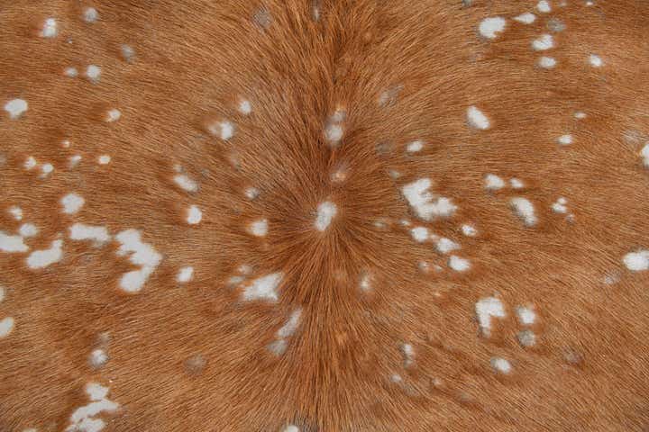 5' 10 x 6' 4 Cowhide Leather Freeform Rug