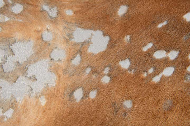 5' 10 x 6' 4 Cowhide Leather Freeform Rug